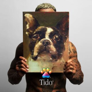 Bizzey Tido Album