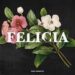Byran MG Felicia