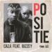 Caza Positie Bizzey artwork