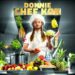 Chef Kok lyrics