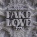 Delany Fake Love lyrics