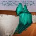 Tot we vallen lyrics