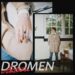 Antoon Dromen artwork