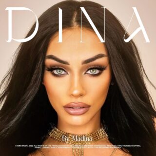 DINA artwork